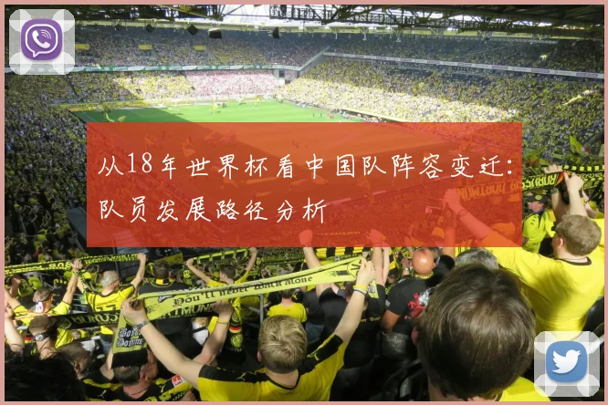 从18年世界杯看中国队阵容变迁：队员发展路径分析